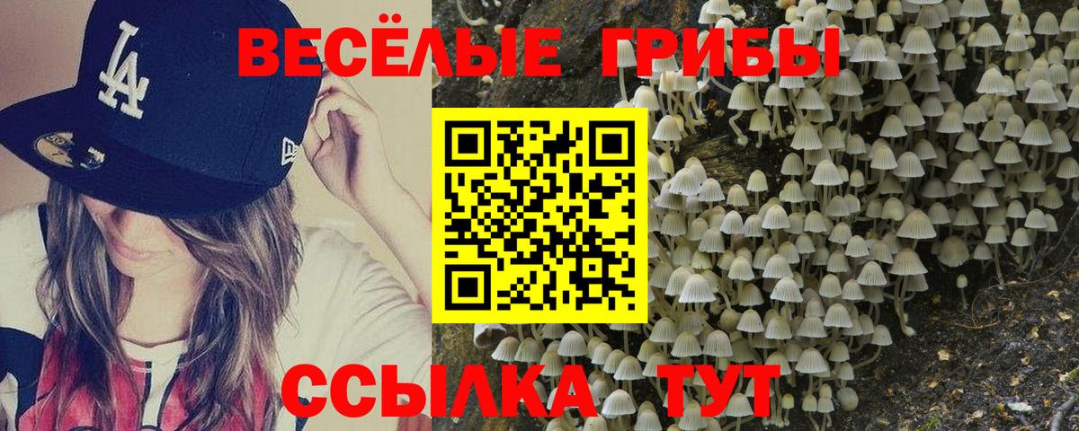 Галлюциногенные грибы MAGIC MUSHROOMS Нефтекамск