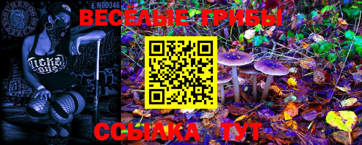Галлюциногенные грибы Psilocybine cubensis  Вход с VPN  Псилоцибиновые грибы прущие грибы  Нефтекамск 